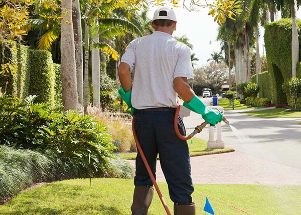 About Gillett TX Pest Control